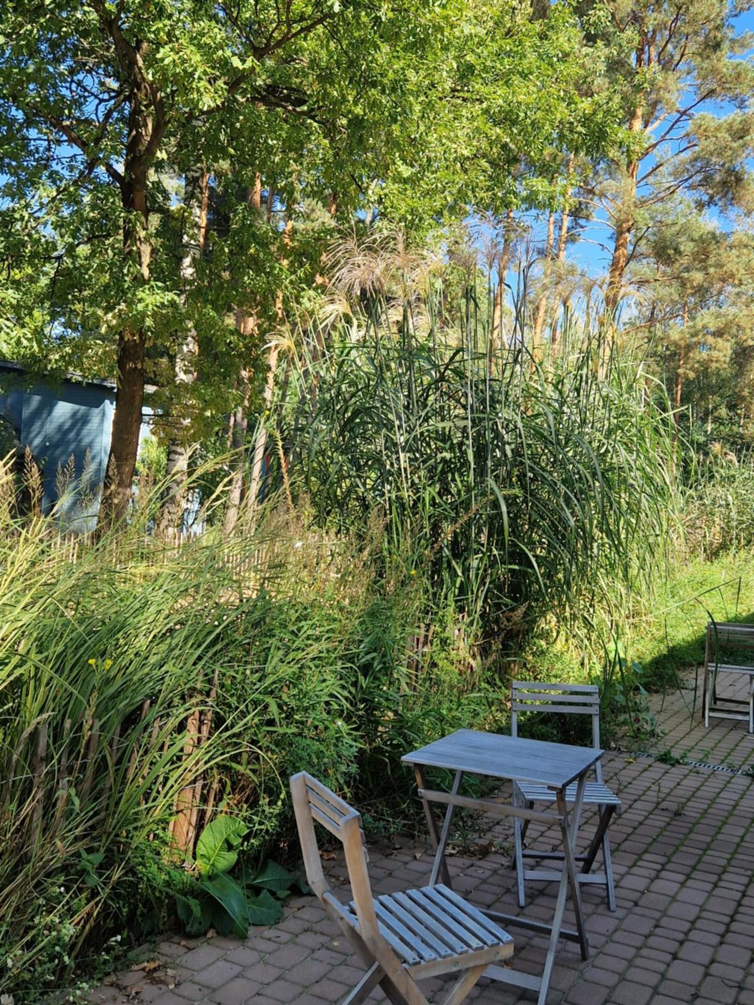 Villa Wioska Pod Kogutem Krepa  Exterior foto